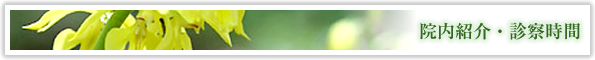 院内紹介・診察時間