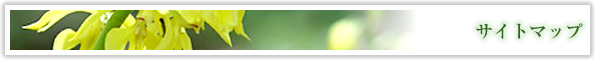 サイトマップ
