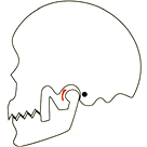 下顎の位置の後方ズレ